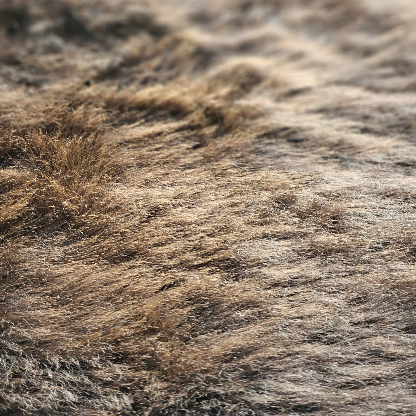 Natural Brown British Sheepskin Rug